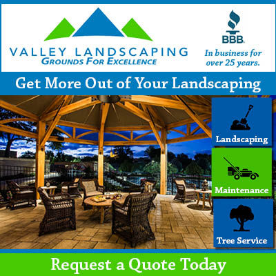 Get More out of Your Landscaping